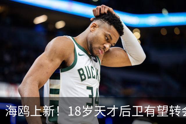海鸥上新！18岁天才后卫有望转会英格兰，天赋顶级布莱顿要买